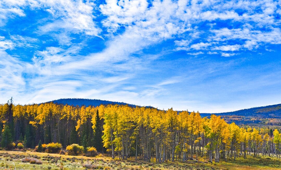 Highland Colorado Zip Code / “`html Your Ultimate Guide To…