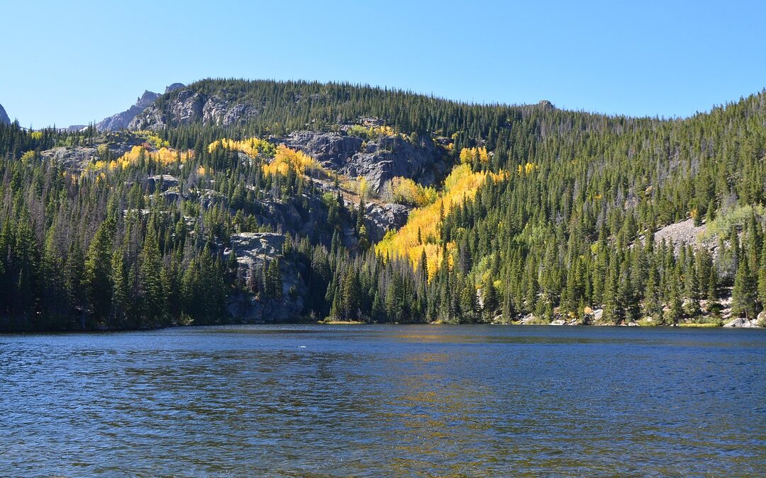 3563 Watada Dr Colorado | Dreaming Of Colorado Living? Check…