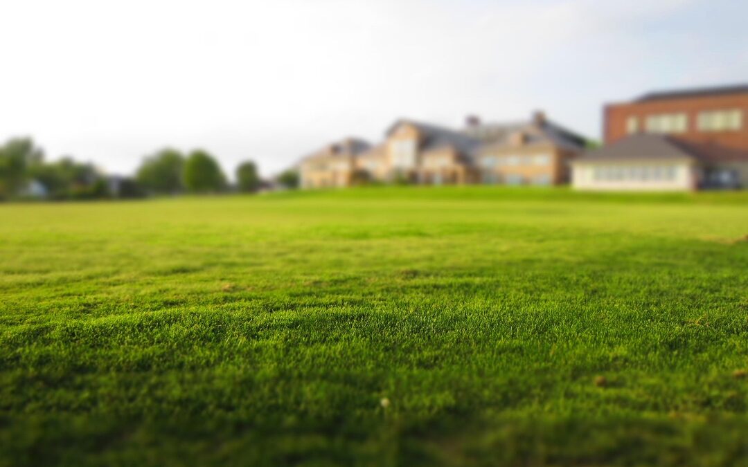 Washington Park Neighborhood Denver: Okay, Here’s An Article Targeting 7th-grade…
