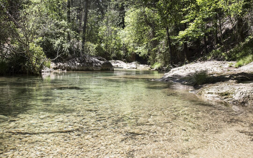 What’s The Current Buyer Competition Like In My Target Areas?:…