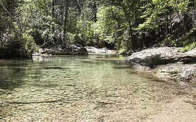 What’s The Current Buyer Competition Like In My Target Areas?:…