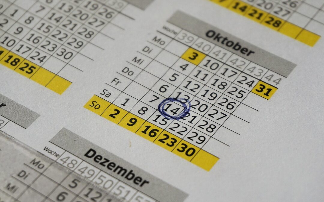 🧠 Bonus Questions For Long-Term Planning » Okay, Here’s A…