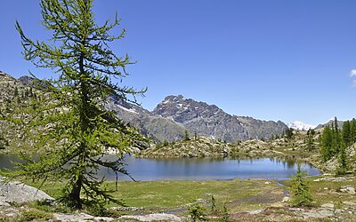 Do You Offer Bundled Services Or Discounts For Dual Clients?…