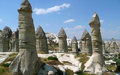 Do You Offer Discounts Or Bundled Services For Dual Clients?…