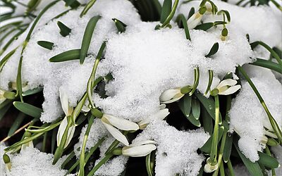 Homes For Sale In Commerce City CO Under $500K: “`html…