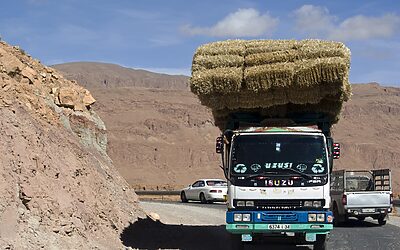 How Do You Tailor Your Recommendations Based On My Lifestyle,…