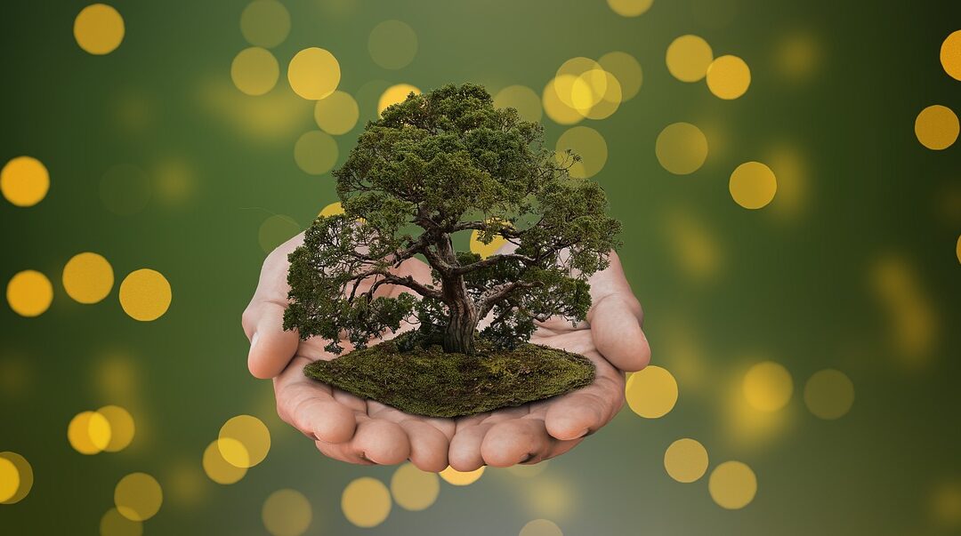 How Often Will I Receive Updates, And Through What Channels?…