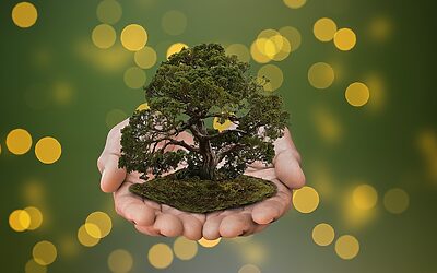 How Often Will I Receive Updates, And Through What Channels?…