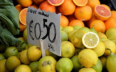 New Homes For Sale – “`html Dreaming Of A New…