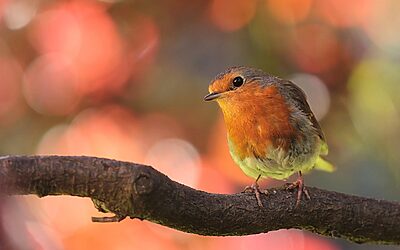 “The Ultimate Guide To Selling A Middle-Class Family Home In…