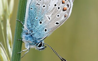 What’s The Most Common Mistake You See Buyers Or Sellers…