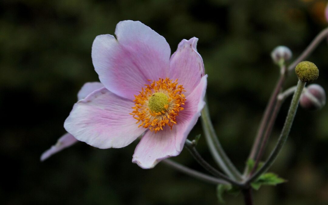 What’s Your Contingency Plan If One Side Of The Transaction…