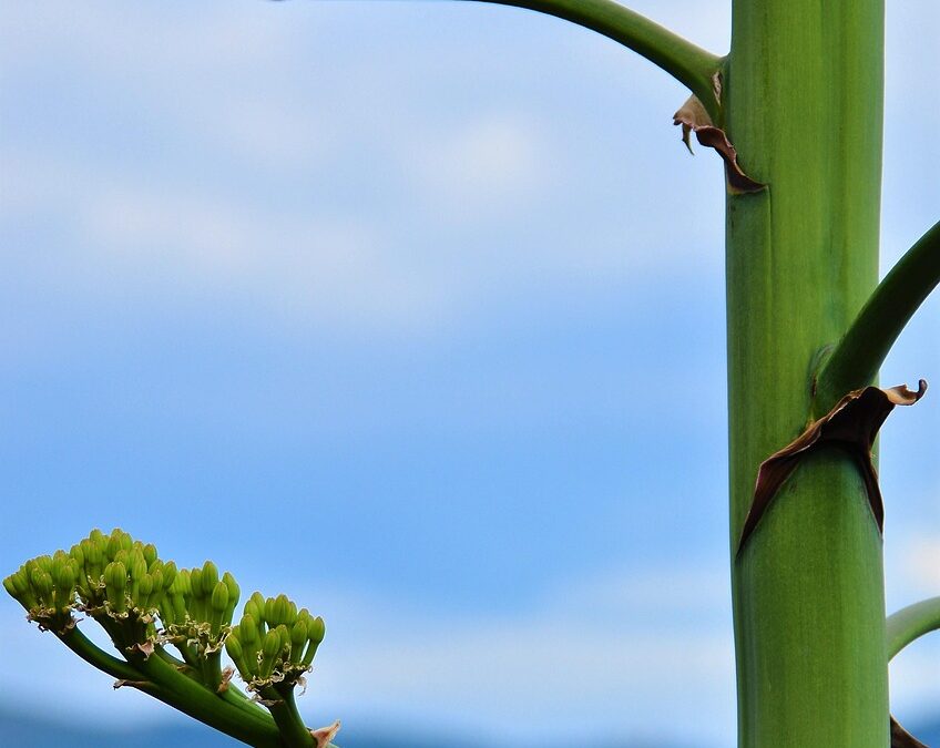 “affordable Homes For Sale In Denver Suburbs” » “`html Discover…