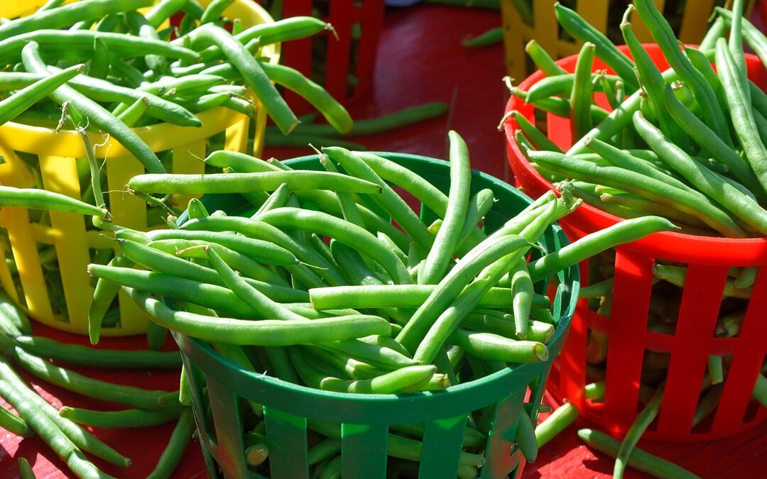 Denver Ranch Homes For Sale ~ Dreaming Of One-Level Living?…