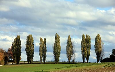 “family-friendly Neighborhoods Commerce City CO” » Your Next Family Adventure:…