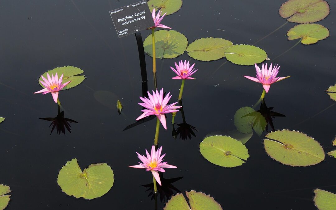 Highlands Denver Co Zip Code » Okay, Here’s A Blog…