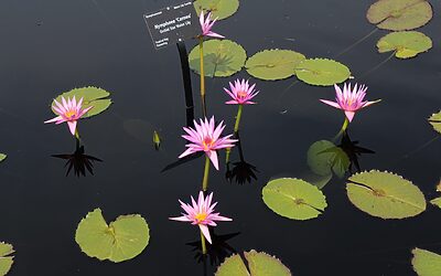 Highlands Denver Co Zip Code » Okay, Here’s A Blog…