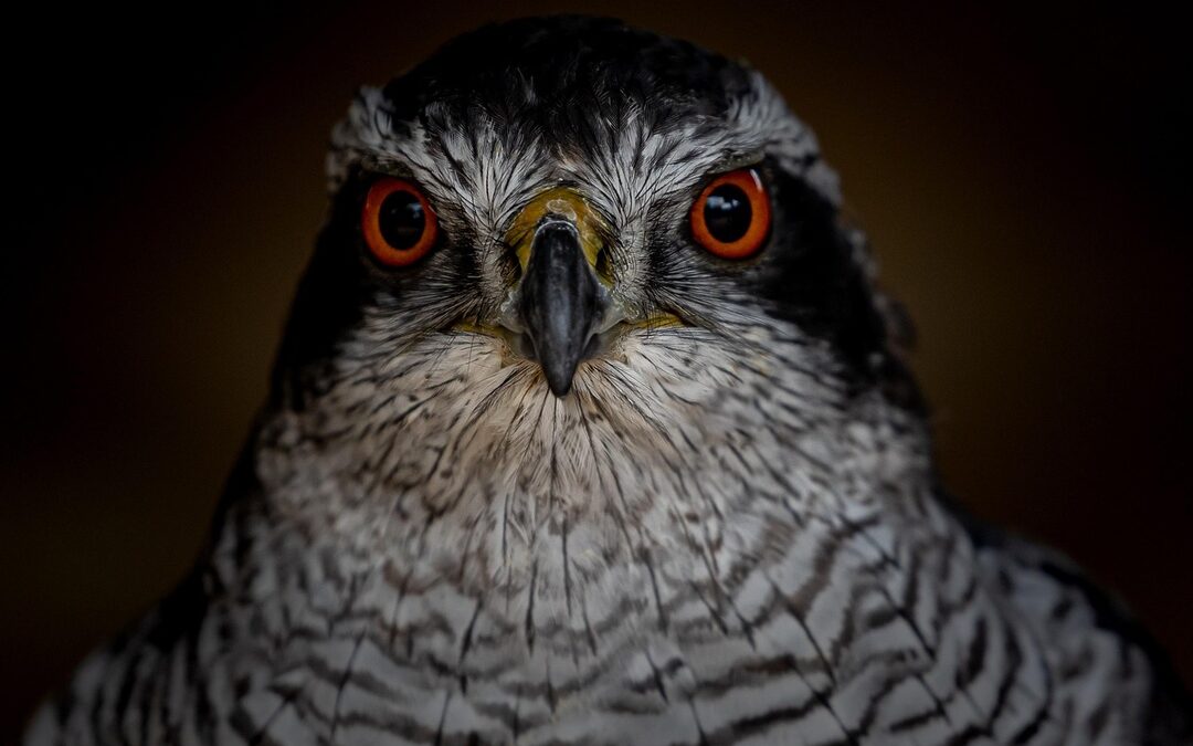 “homes Under $500000 Near Denver” – Alright, Here’s A Blog…