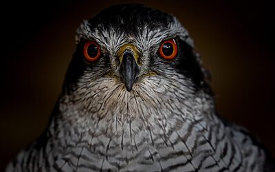 “homes Under $500000 Near Denver” – Alright, Here’s A Blog…