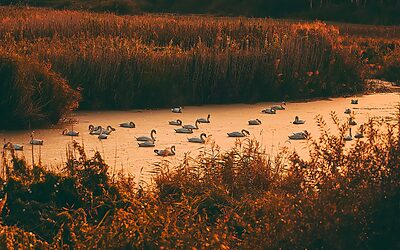 “move-in Ready Homes In Denver $500k–$800k” – “`html Your Dream…