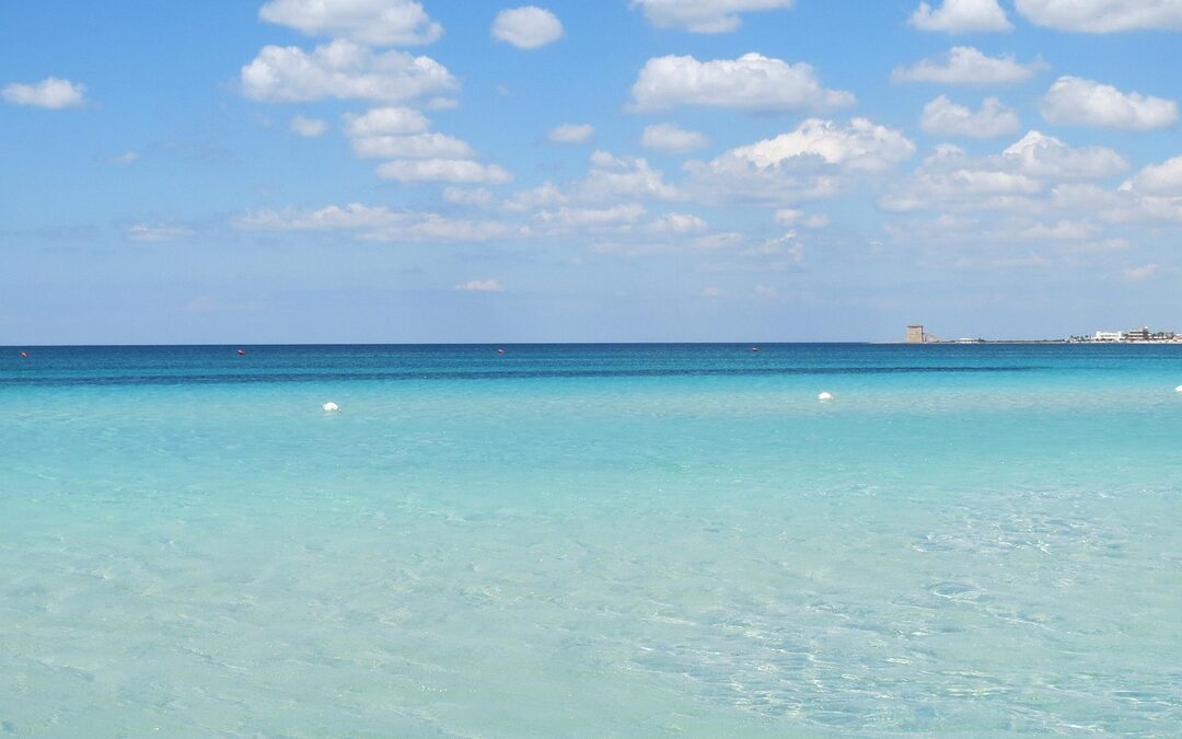 How Do You Evaluate Whether A Home Is A Good…