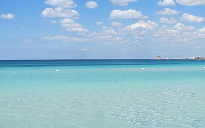 How Do You Evaluate Whether A Home Is A Good…