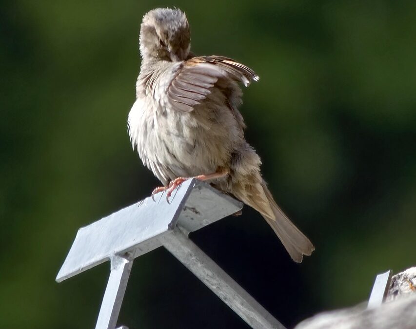 Will I Be Working With You Directly Or With A…