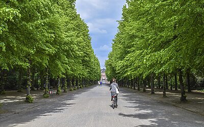 “best Value Townhomes Near Buffalo Run Colorado” / “`html Discover…