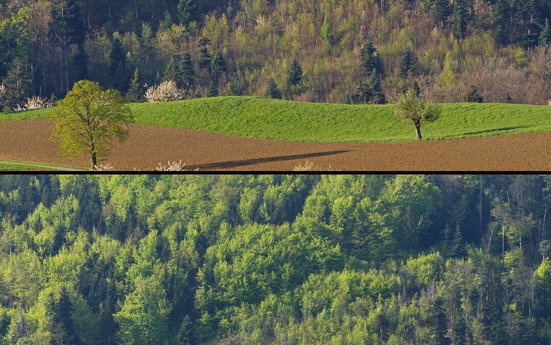 Condos For Sale In Lafayette Co ~ “`html Discover Your…