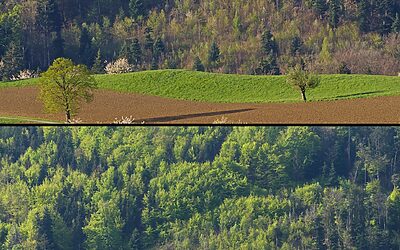 Condos For Sale In Lafayette Co ~ “`html Discover Your…