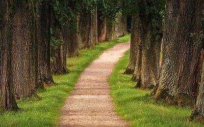 “homes For Sale In Superior Co” – “`html Discover Your…