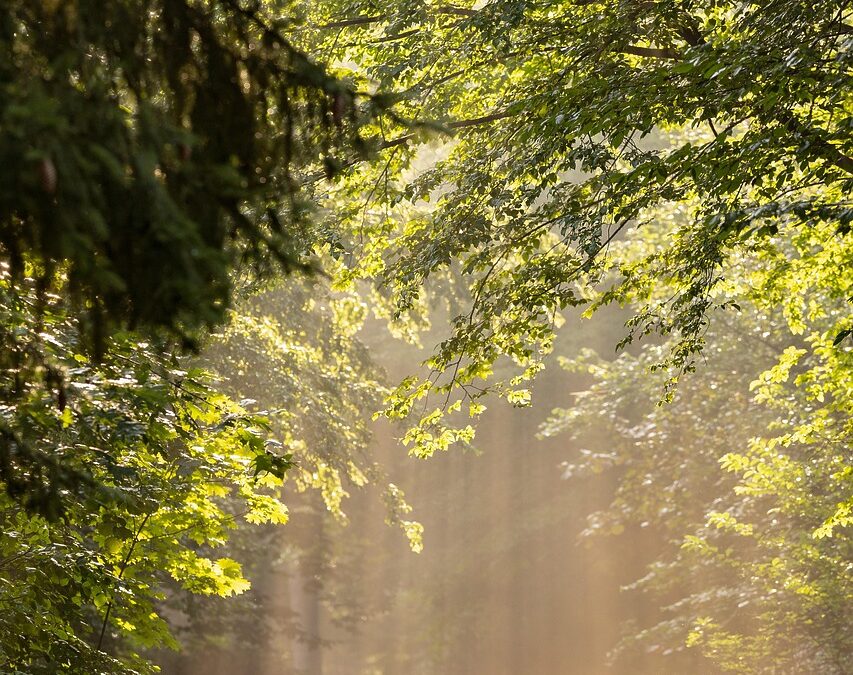 “homes With Gas Fireplace And Private Patio CO” &raquo; “`html…