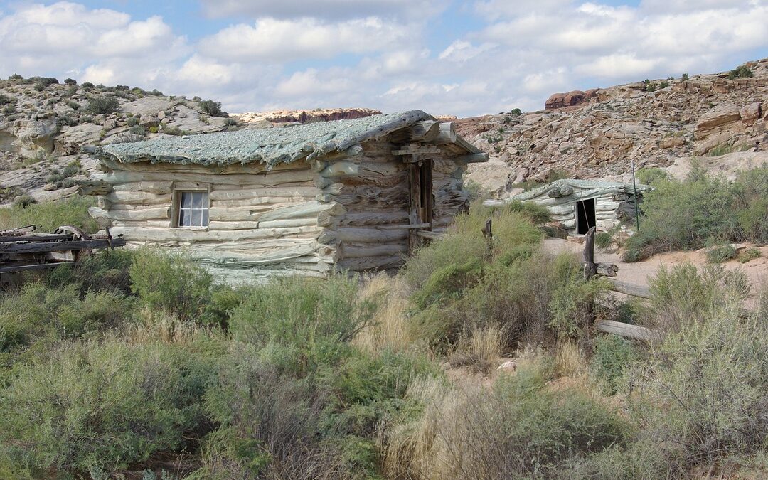 Realtors In Highlands Ranch Co » “`html Your Dream Home…