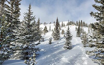 Rent To Own Homes In Thornton Colorado – “`html Unlock…