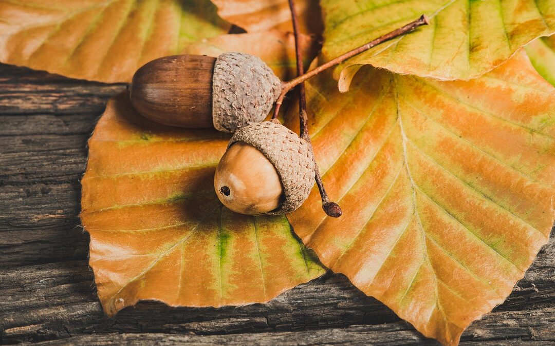 Are There Seasonal Trends I Should Consider When Listing?: “`html…